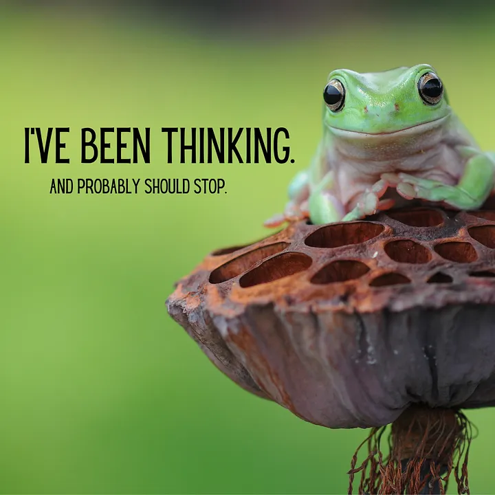 Frog on plant with words: I've been thinking and probably should stop.