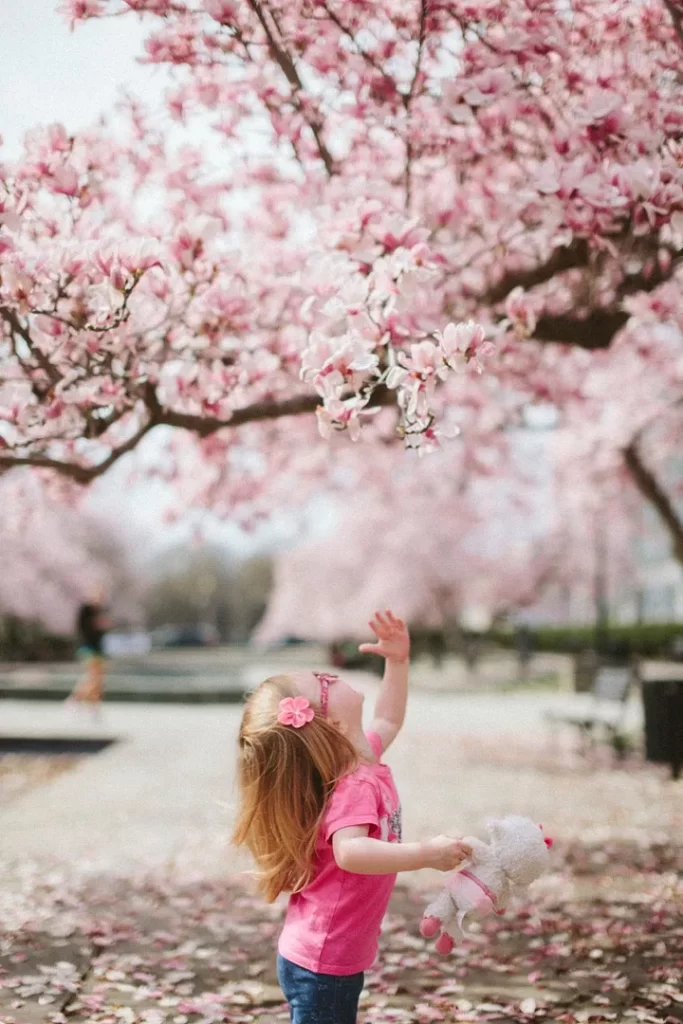 Little girl playing under cherry blossom tree