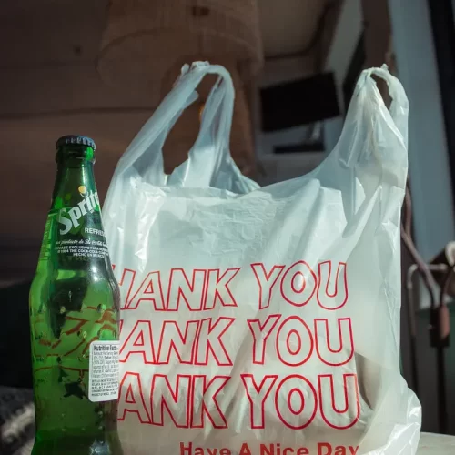 Grocery bag with words Thank You Have a Nice Day