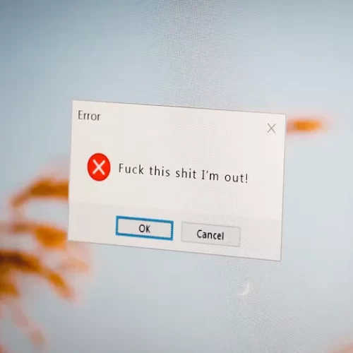 Error computer window with phrase: Fuck this shit I'm out.