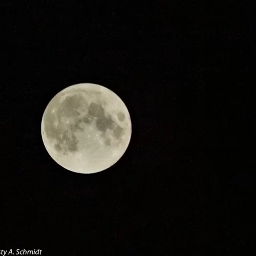 Close up of the full moon