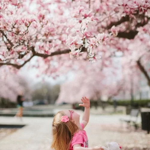 Little girl playing under cherry blossom tree